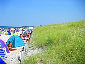 Hinter der D�ne Markgrafenheide